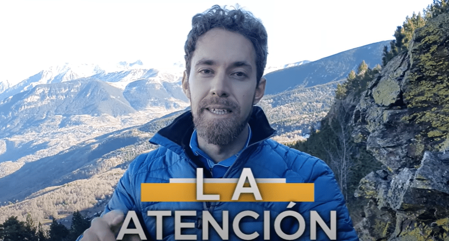Atención: cómo mejorar tu conexión con la vida